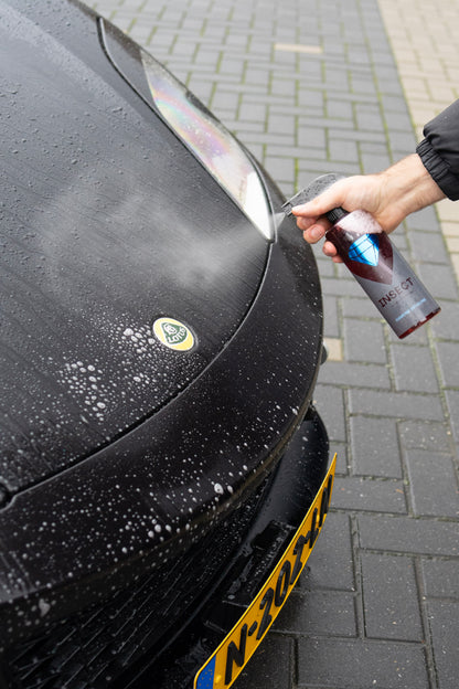 Diamond Detailing Insect