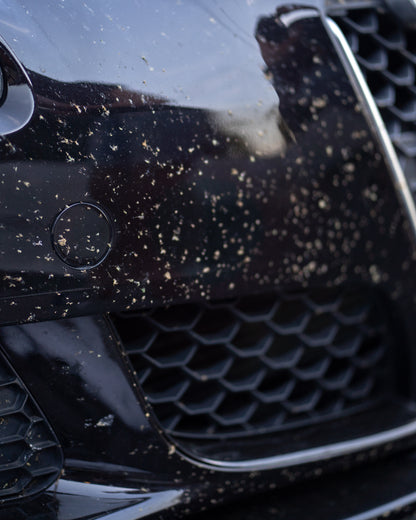 Diamond Detailing Insect