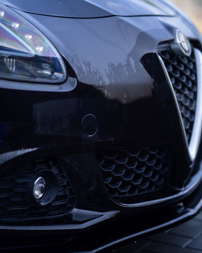 Diamond Detailing Insect